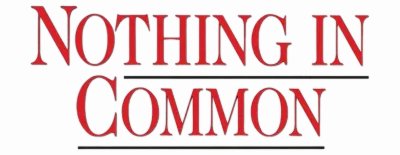 Niente in comune