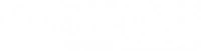 Digimon: Digital Monsters