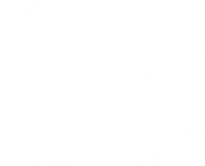 12 (2007)