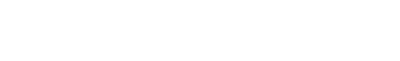 The Allegation (2022)