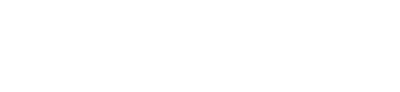 The Bear