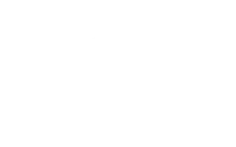 Il problema finale