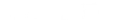 The Fixers